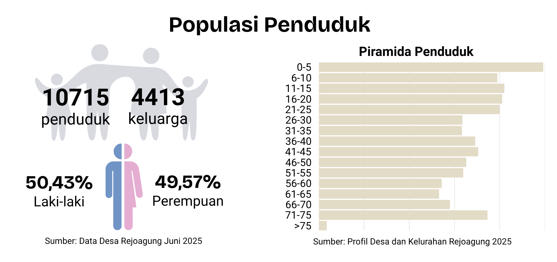 Infografis Populasi Penduduk Desa Rejoagung